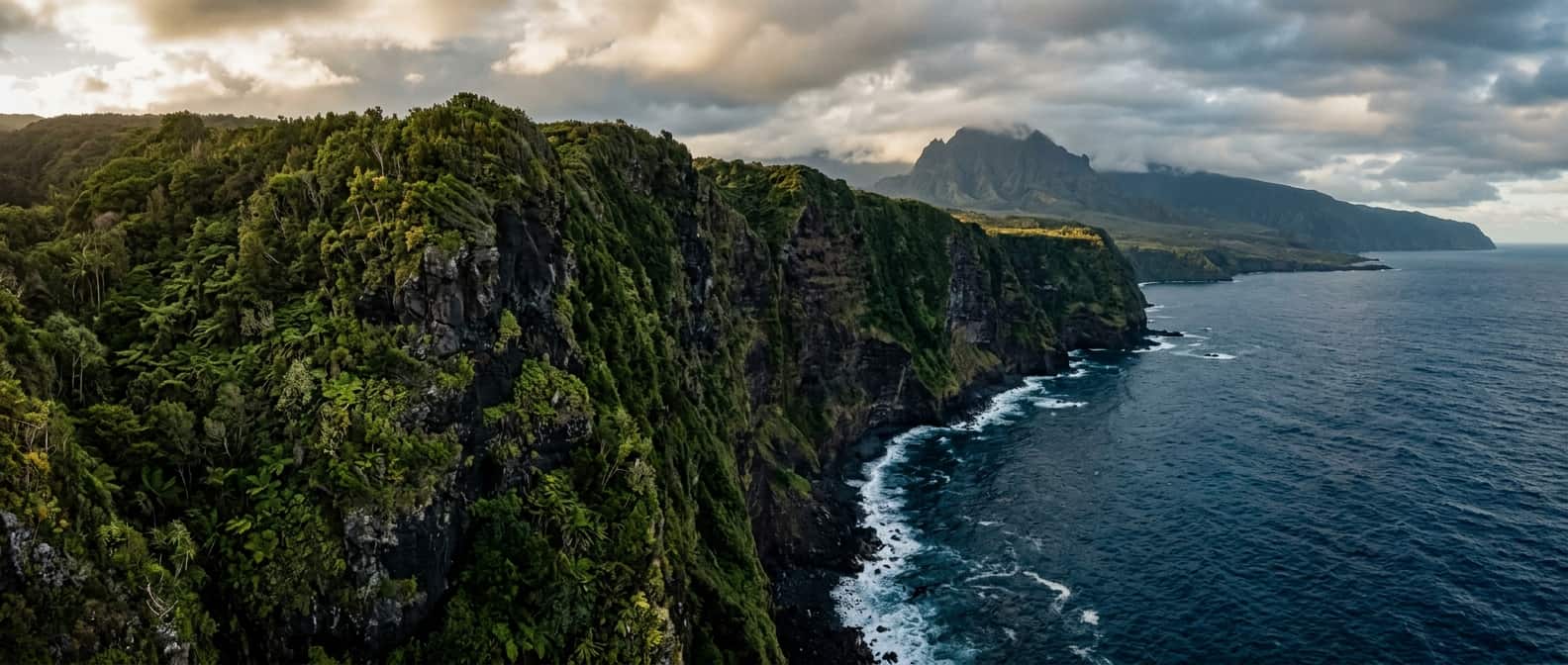 The French Indian Ocean: A Field Guide to Reunion Island