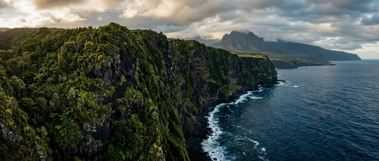 The French Indian Ocean: A Field Guide to Reunion Island