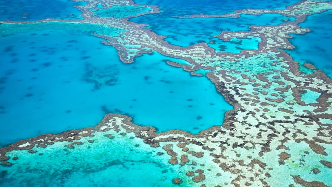 Great Barrier Reef