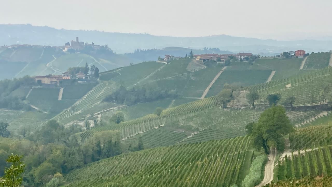 Georgian Wine Country