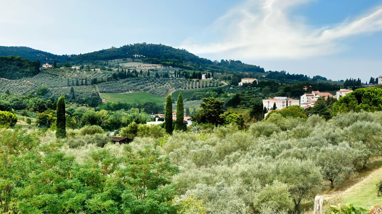 Tuscan Countryside