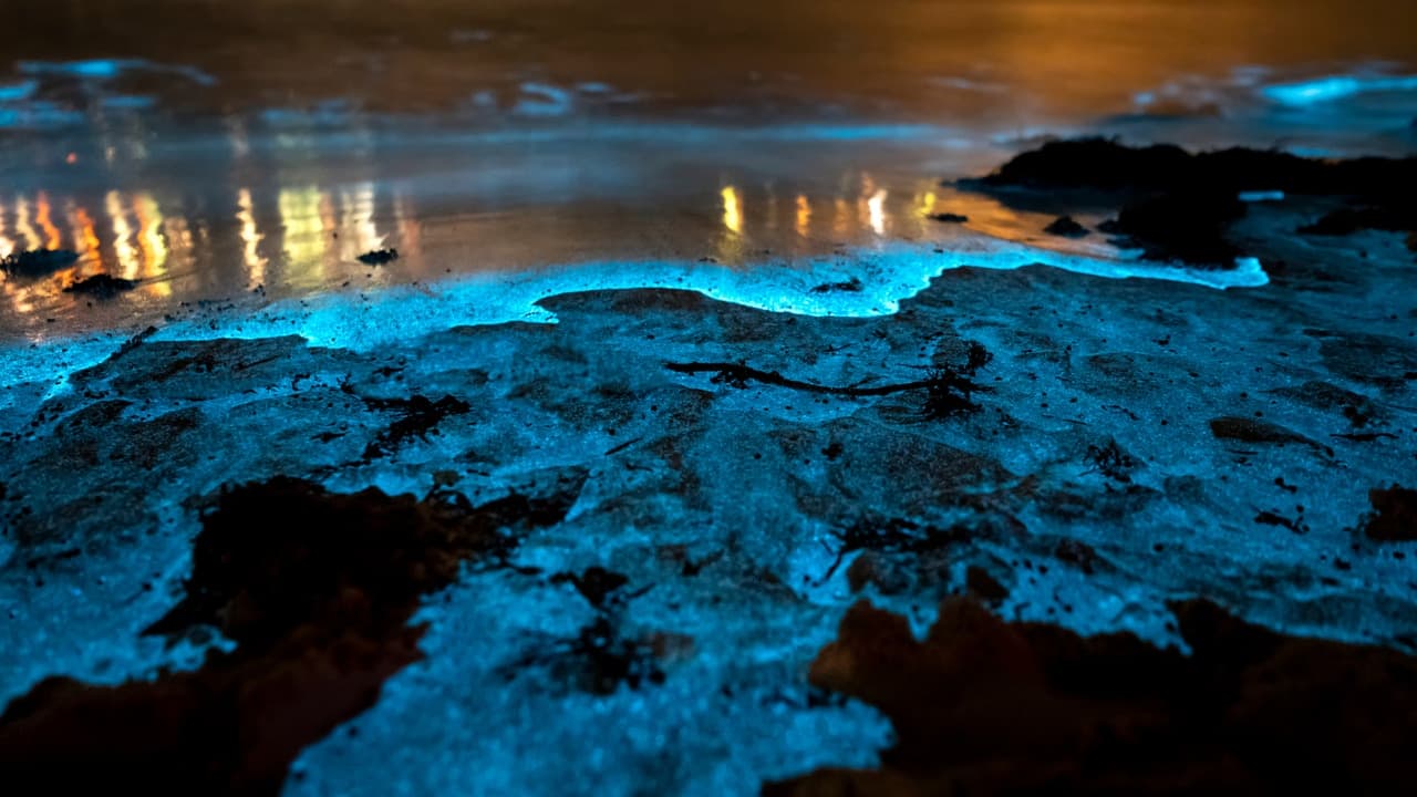Bioluminescent Beach at Vaadhoo