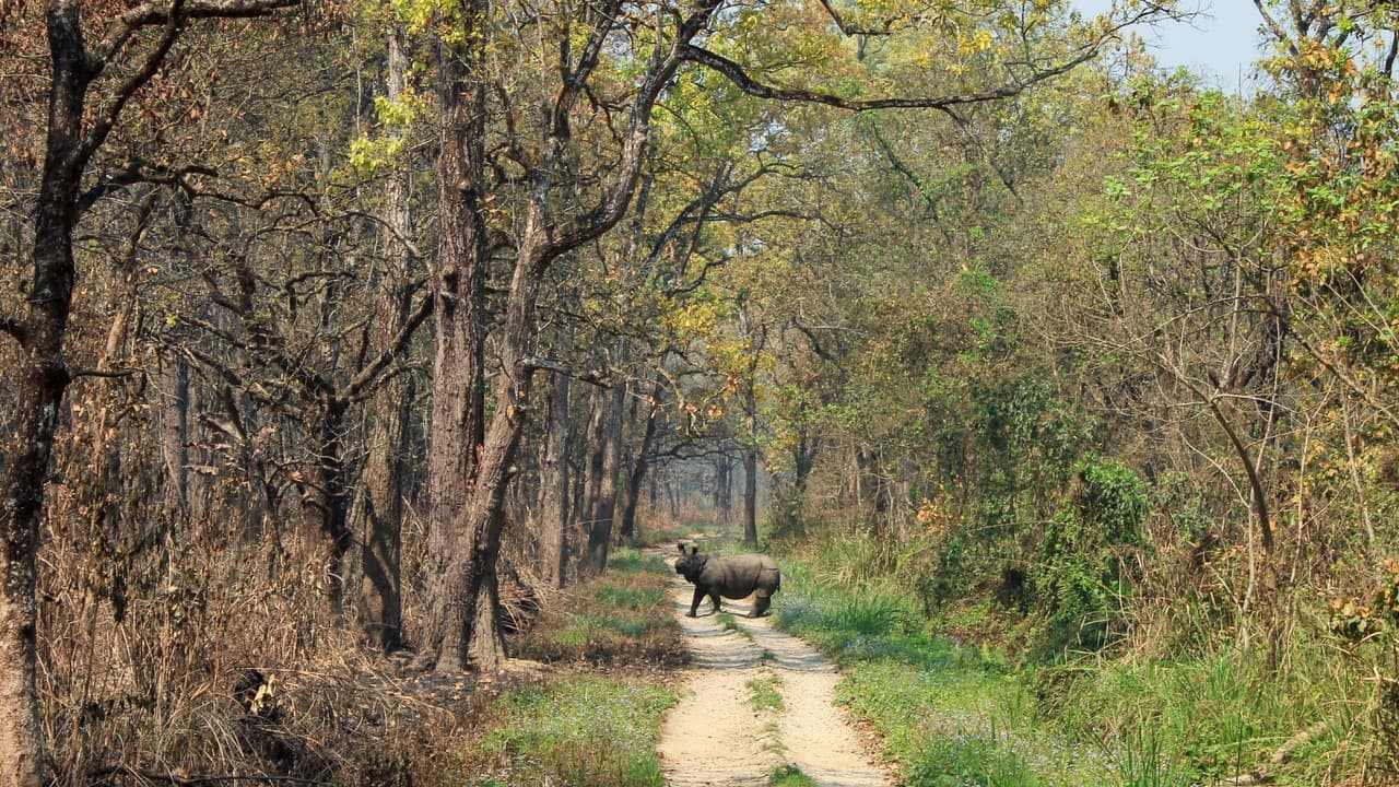 Chitwan National Park
