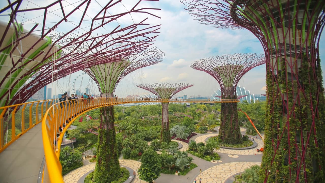 Gardens by the Bay