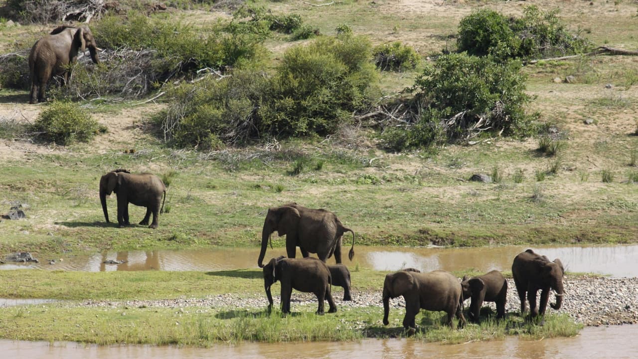 Kruger National Park