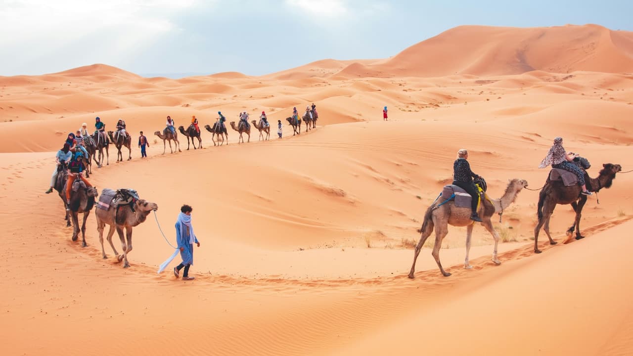 Desert Safari