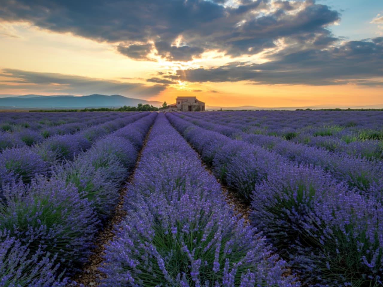 France
