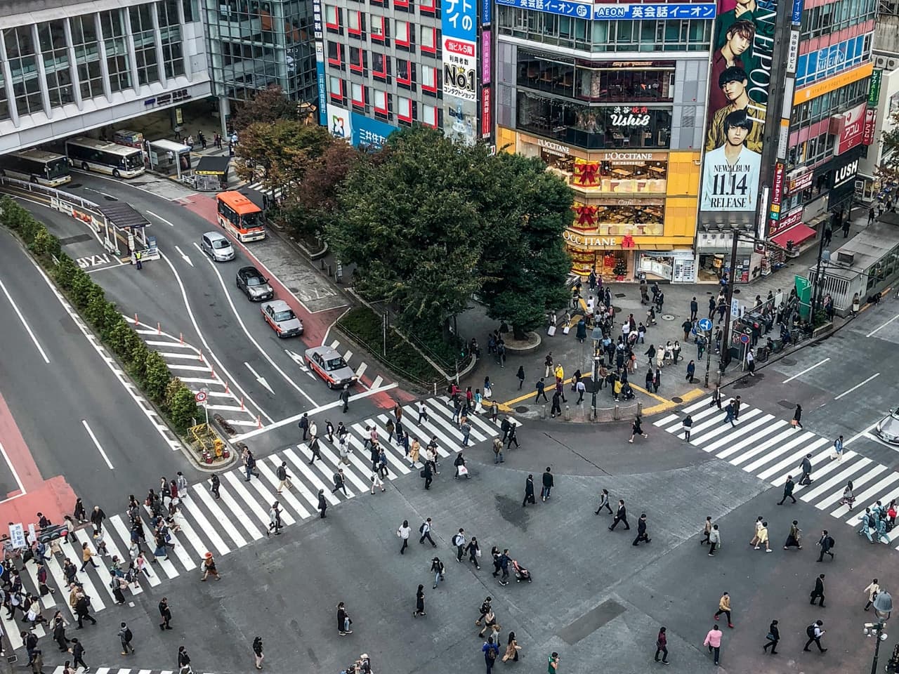 Shibuya Crossing (Tokyo)