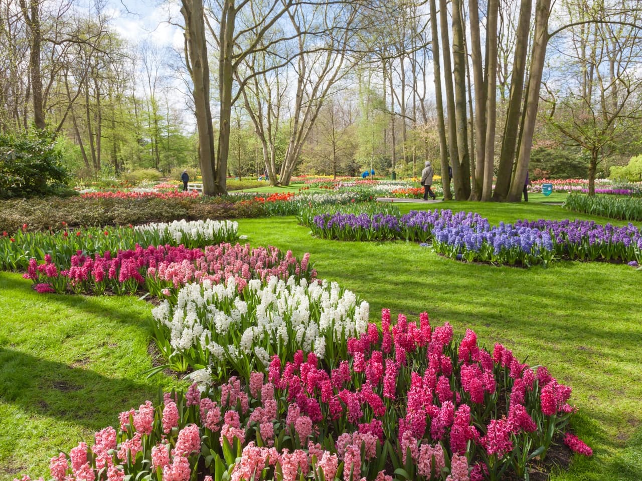 Keukenhof Gardens (Lisse)