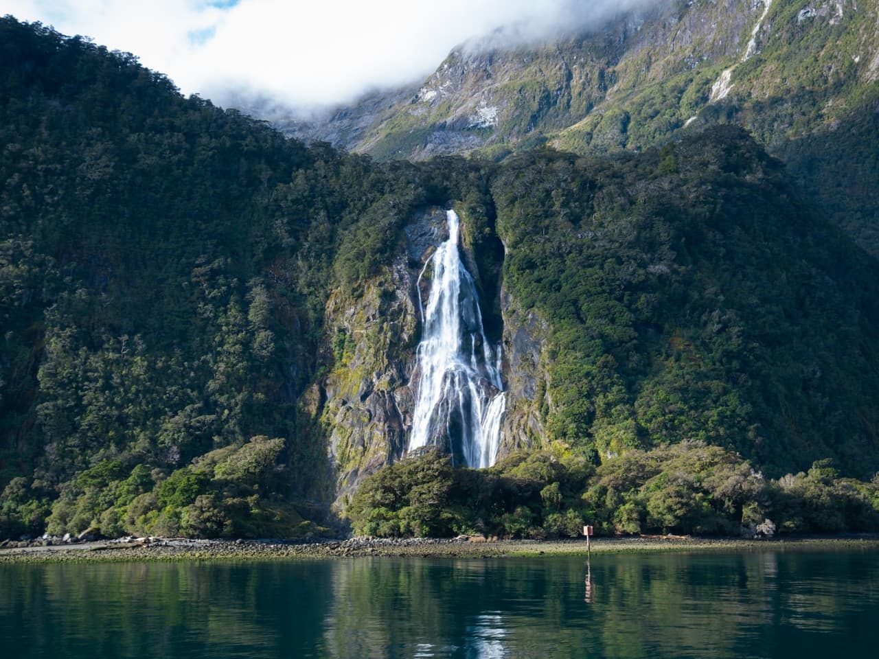 Milford Sound (Fiordland)