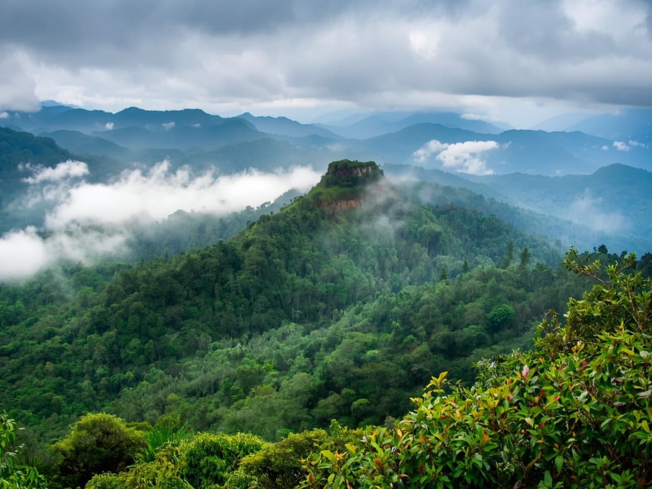 Doi Inthanon National Park (Chiang Mai)