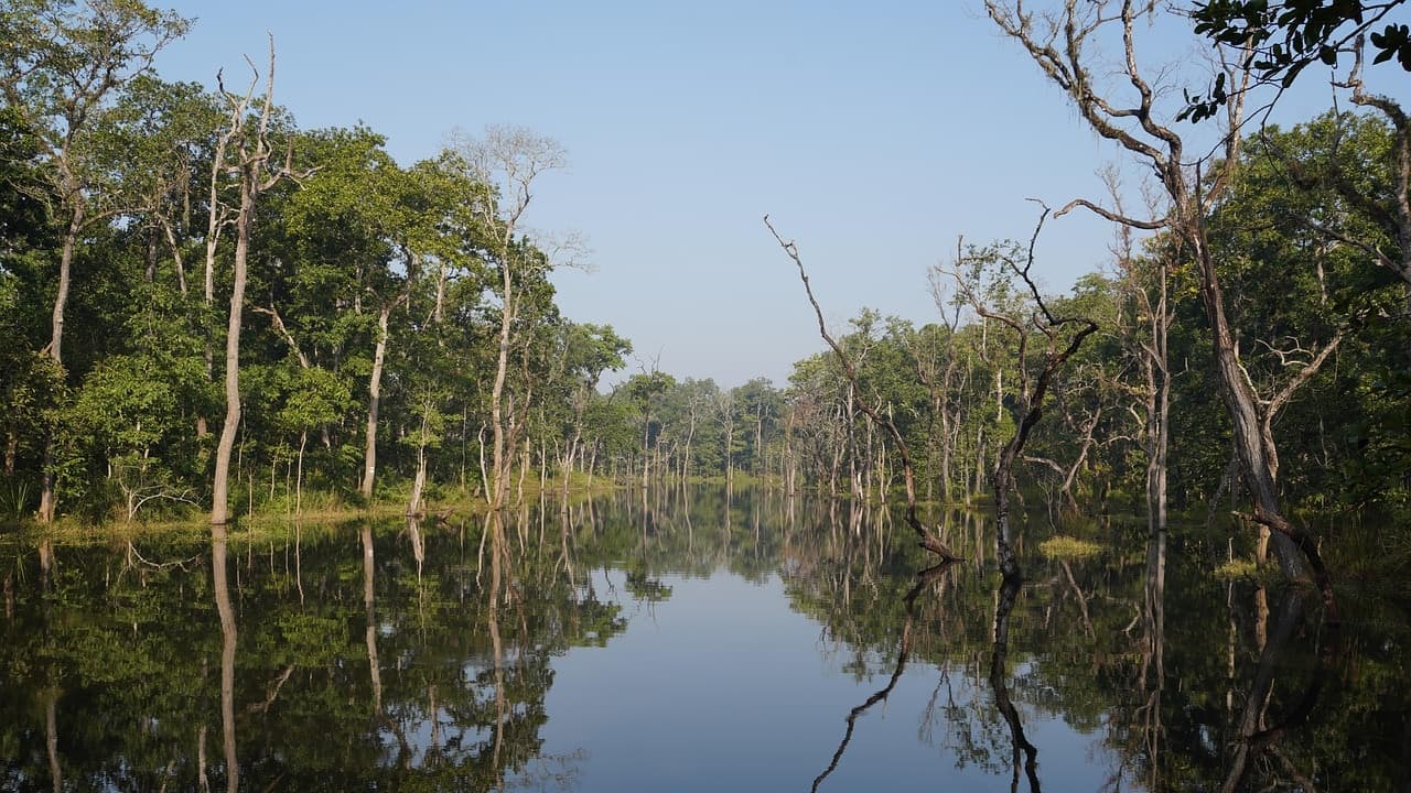 Chitwan