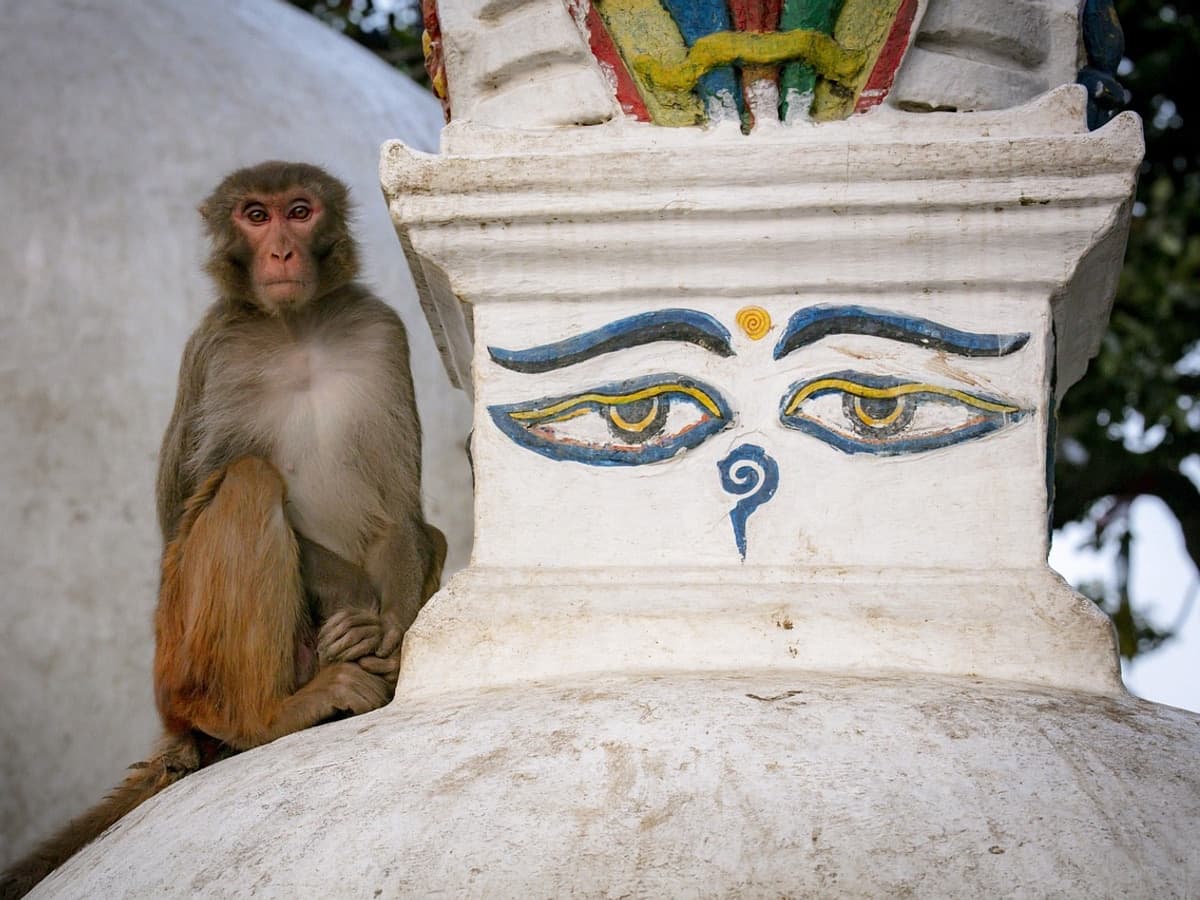Swayambhunath (Monkey Temple)