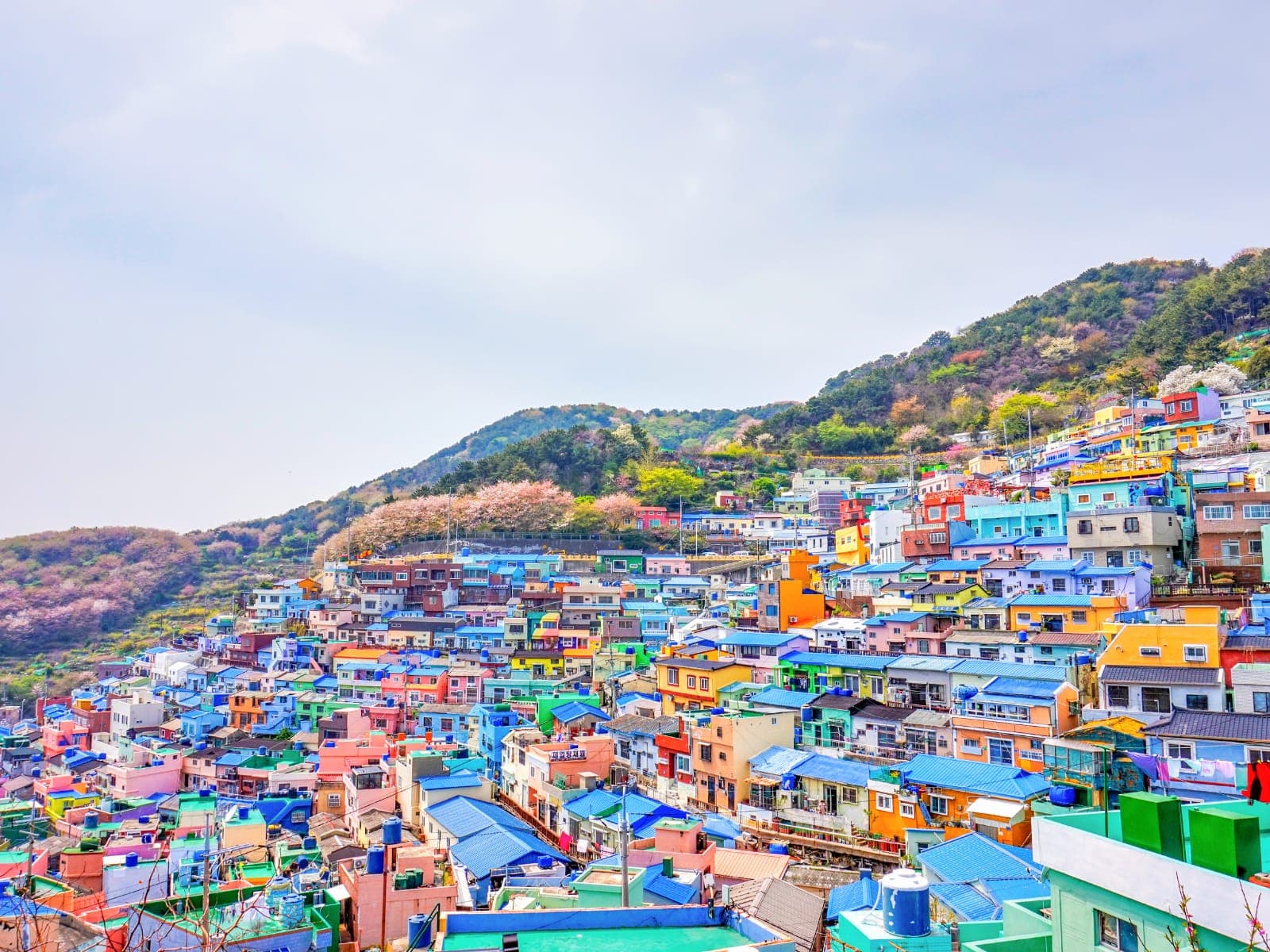 Colourful hillside houses of Gamcheon Culture Village, Busan